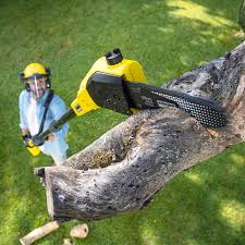Best Utility Line Clearance  in Lompoc, CA